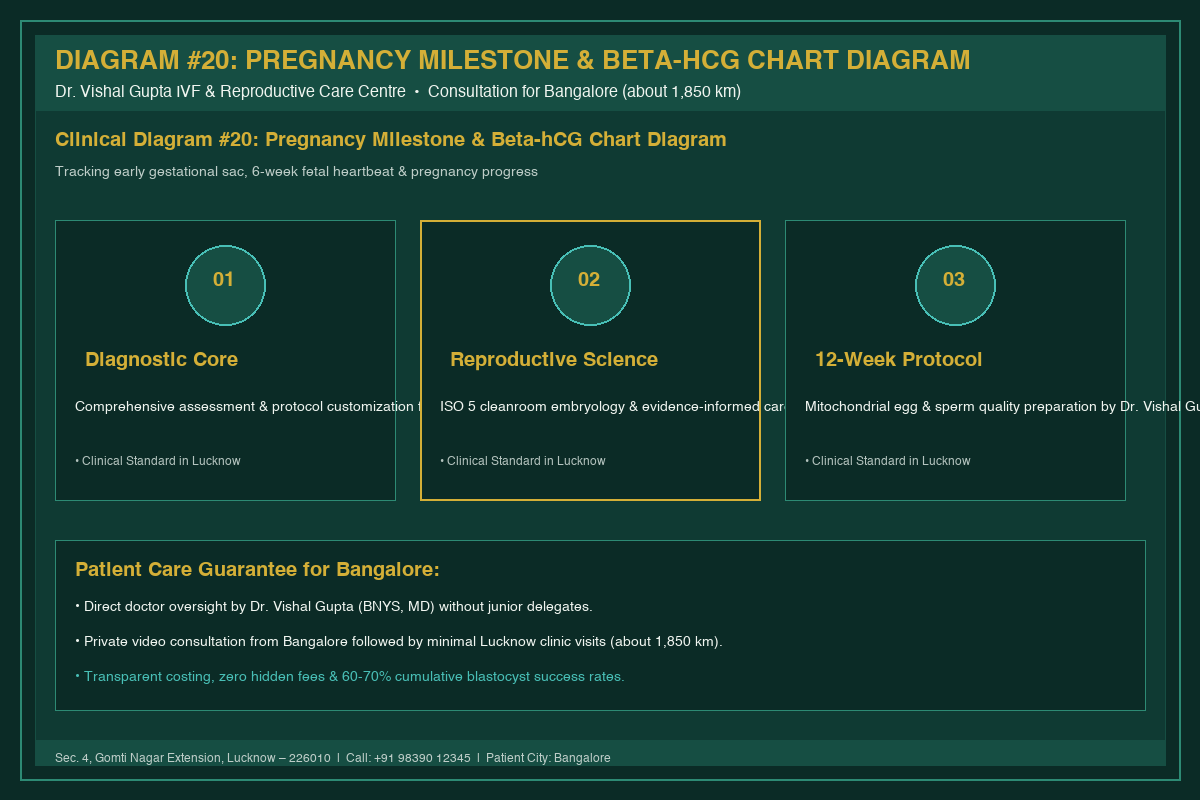Medical Diagram #20: Pregnancy Milestone & Beta-hCG Chart Diagram at IVF Centre Lucknow for couples in Bangalore