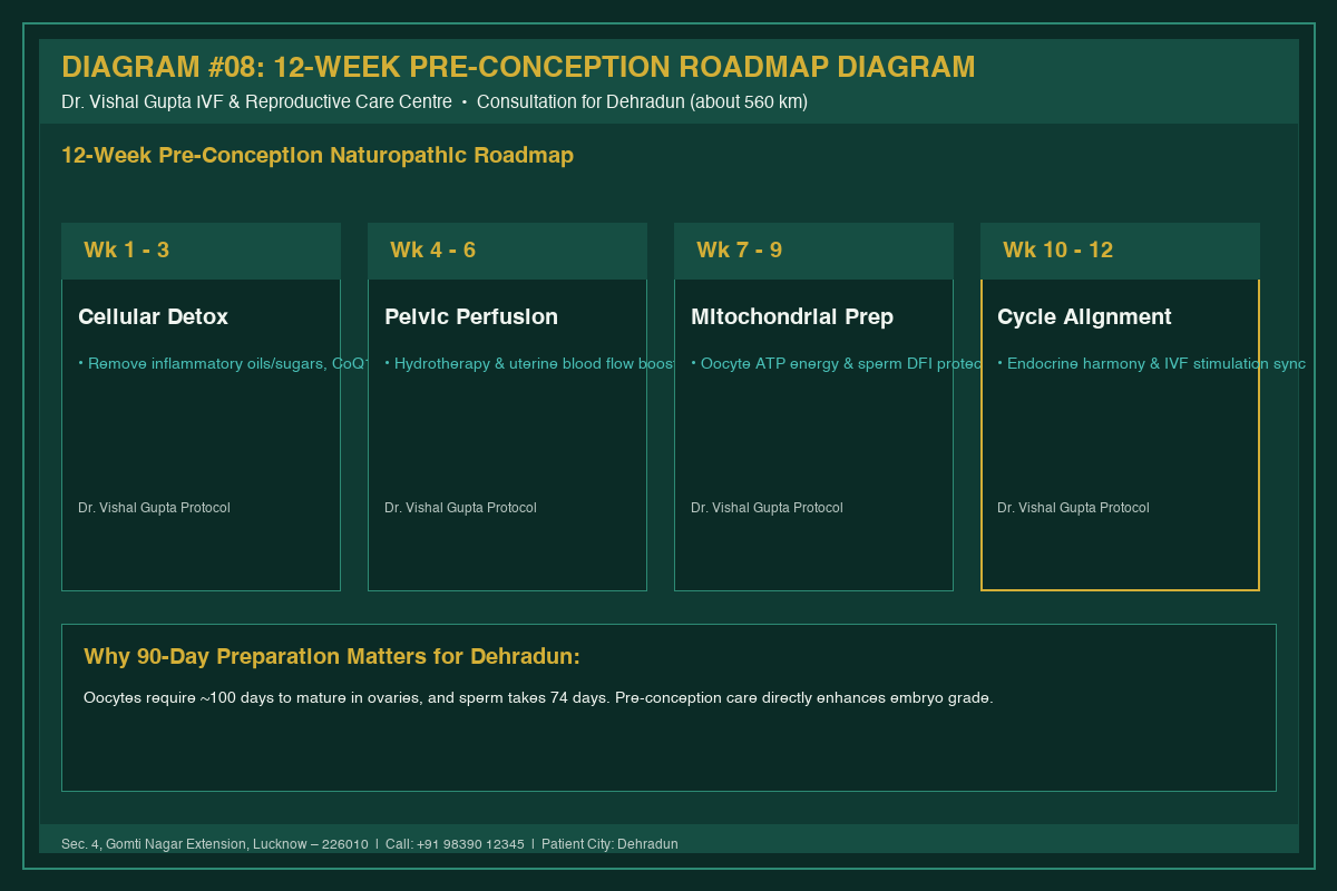 Medical Diagram #08: 12-Week Pre-Conception Roadmap Diagram at IVF Centre Lucknow for couples in Dehradun
