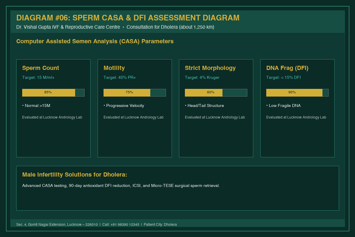 Medical Diagram #06: Sperm CASA & DFI Assessment Diagram at IVF Centre Lucknow for couples in Dholera
