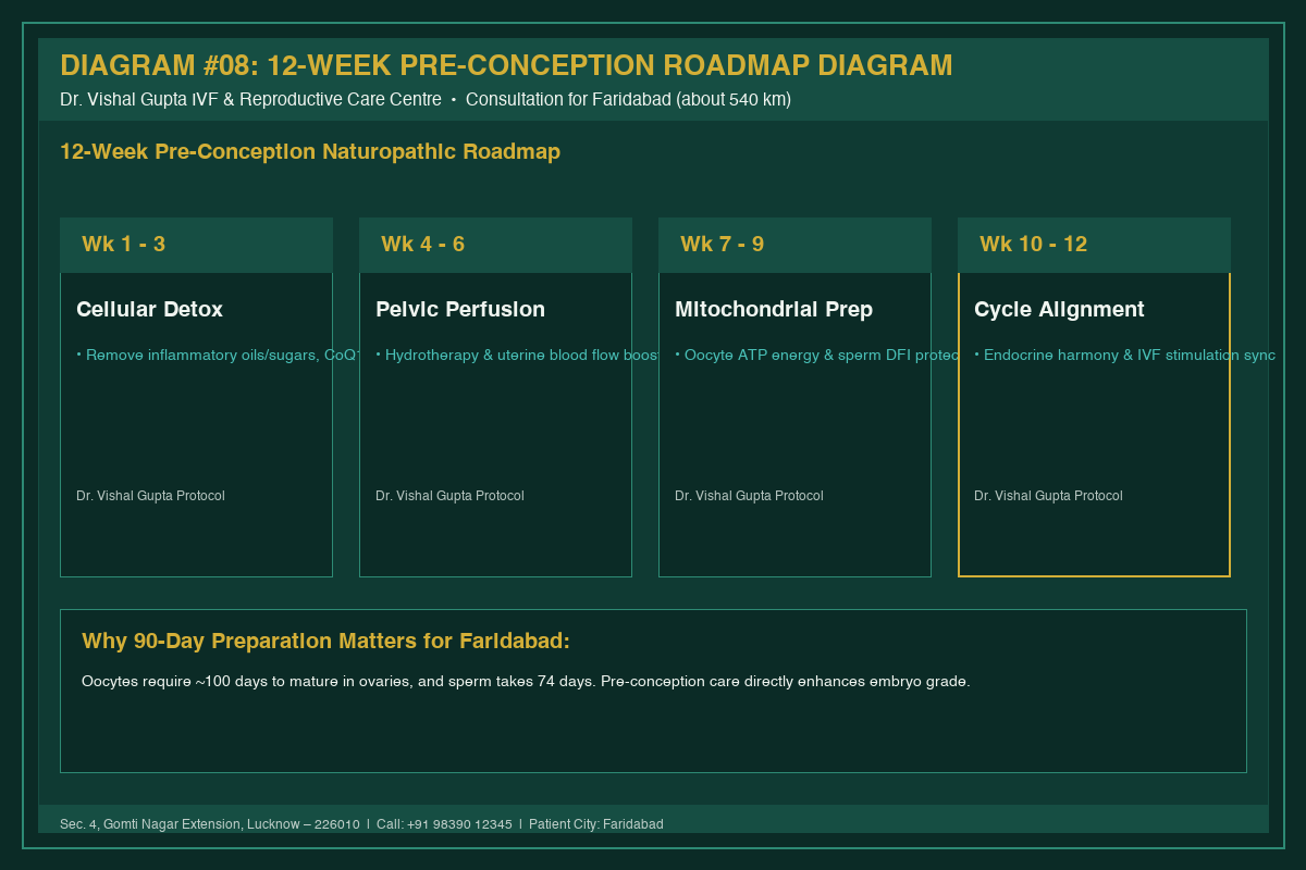 Medical Diagram #08: 12-Week Pre-Conception Roadmap Diagram at IVF Centre Lucknow for couples in Faridabad