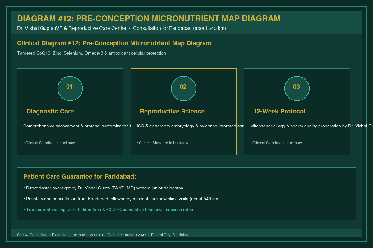 Medical Diagram #12: Pre-Conception Micronutrient Map Diagram at IVF Centre Lucknow for couples in Faridabad