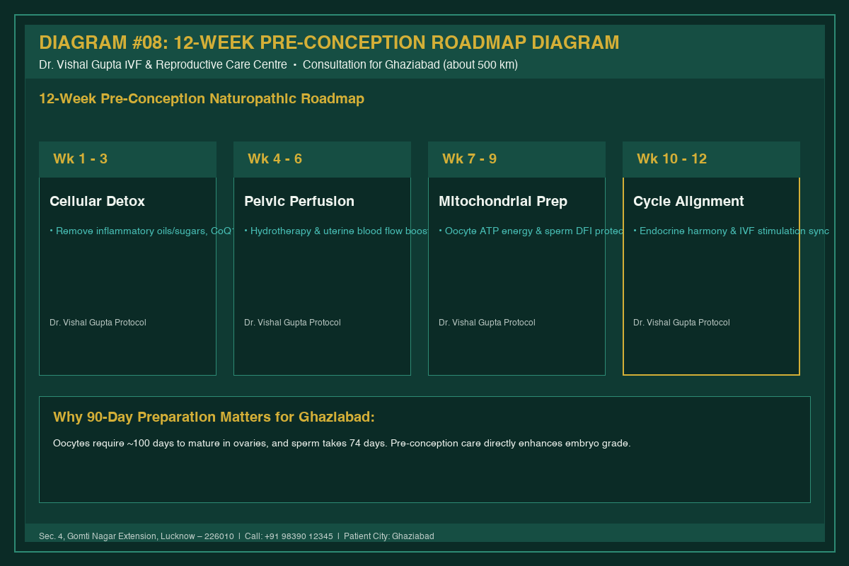 Medical Diagram #08: 12-Week Pre-Conception Roadmap Diagram at IVF Centre Lucknow for couples in Ghaziabad