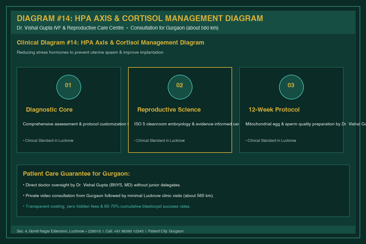 Medical Diagram #14: HPA Axis & Cortisol Management Diagram at IVF Centre Lucknow for couples in Gurgaon