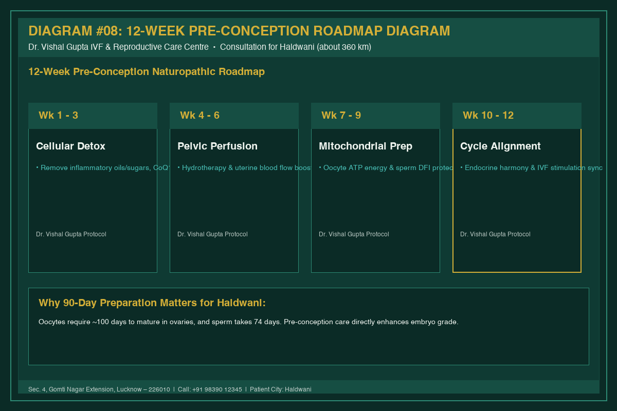 Medical Diagram #08: 12-Week Pre-Conception Roadmap Diagram at IVF Centre Lucknow for couples in Haldwani