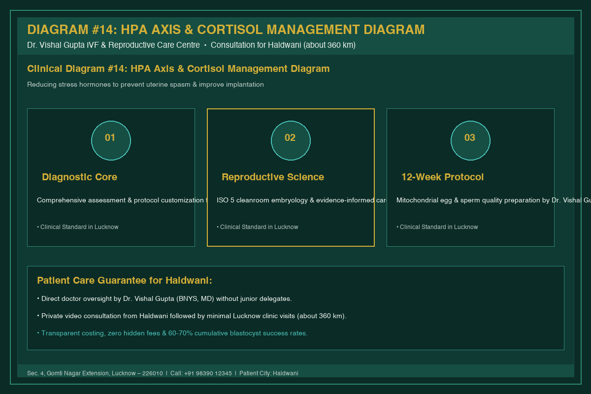 Medical Diagram #14: HPA Axis & Cortisol Management Diagram at IVF Centre Lucknow for couples in Haldwani
