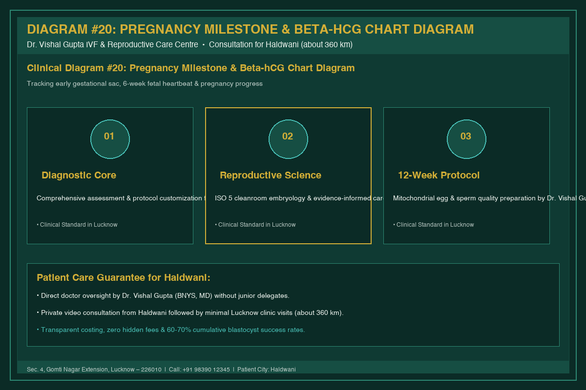 Medical Diagram #20: Pregnancy Milestone & Beta-hCG Chart Diagram at IVF Centre Lucknow for couples in Haldwani