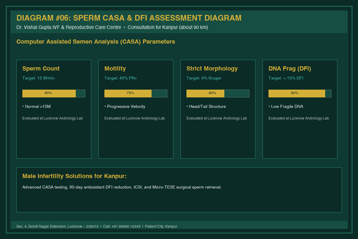 Medical Diagram #06: Sperm CASA & DFI Assessment Diagram at IVF Centre Lucknow for couples in Kanpur