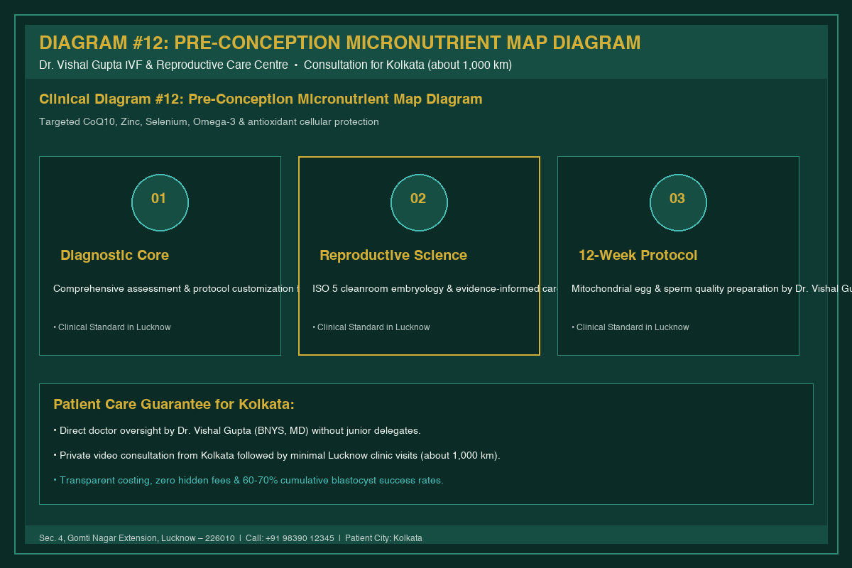 Medical Diagram #12: Pre-Conception Micronutrient Map Diagram at IVF Centre Lucknow for couples in Kolkata