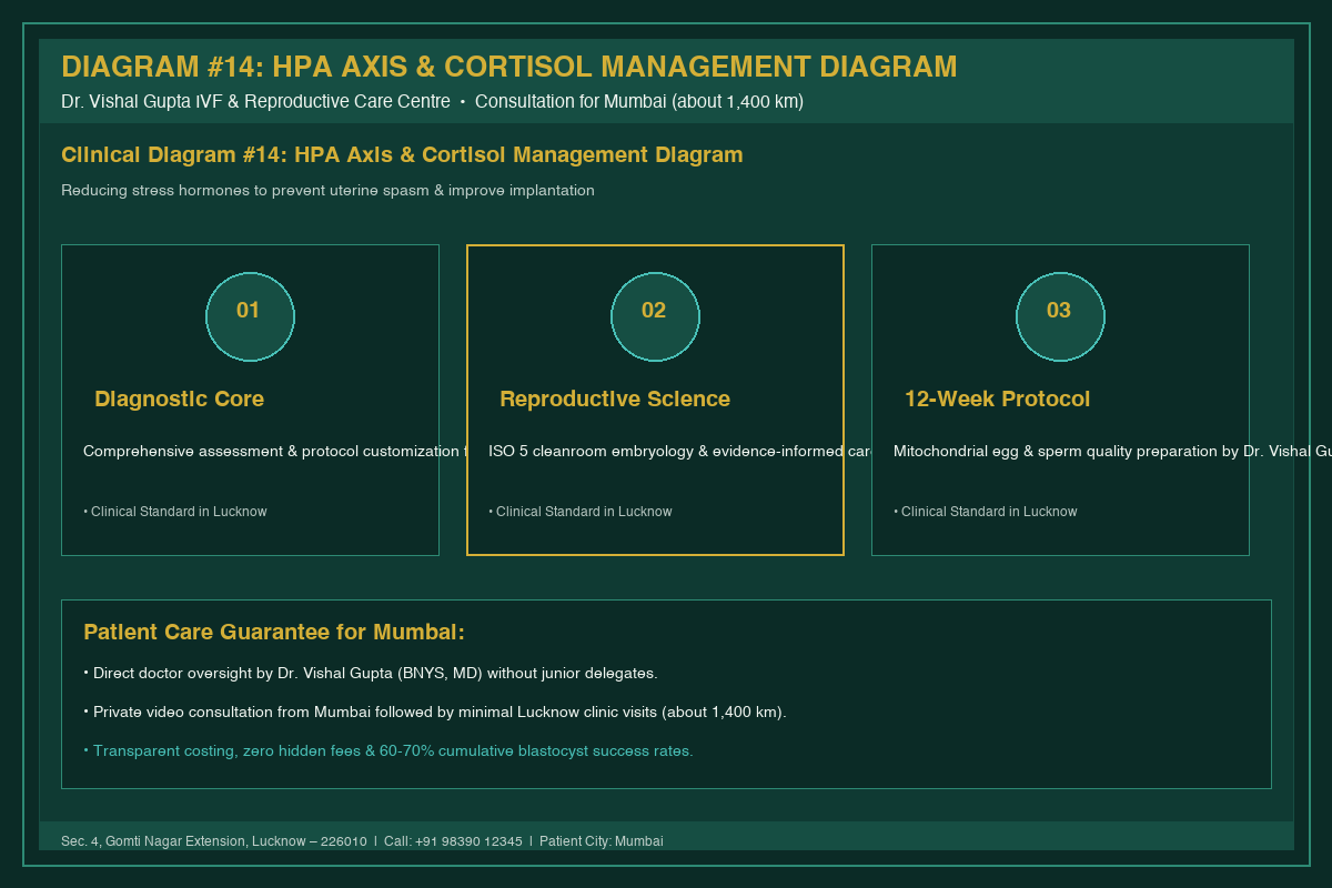 Medical Diagram #14: HPA Axis & Cortisol Management Diagram at IVF Centre Lucknow for couples in Mumbai
