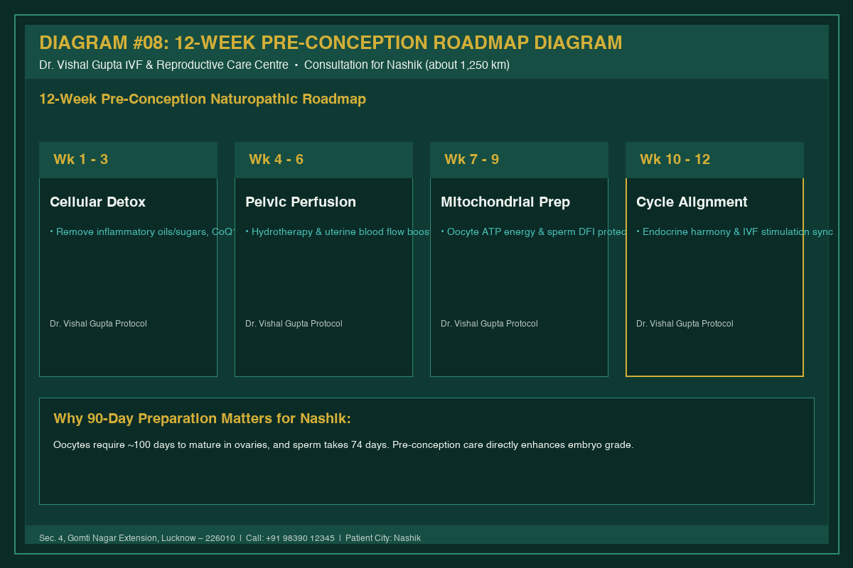 Medical Diagram #08: 12-Week Pre-Conception Roadmap Diagram at IVF Centre Lucknow for couples in Nashik