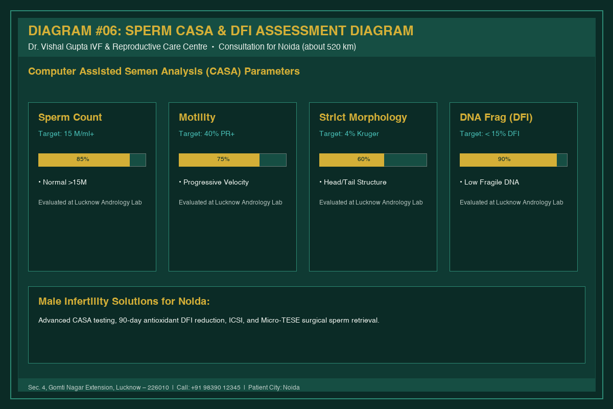 Medical Diagram #06: Sperm CASA & DFI Assessment Diagram at IVF Centre Lucknow for couples in Noida
