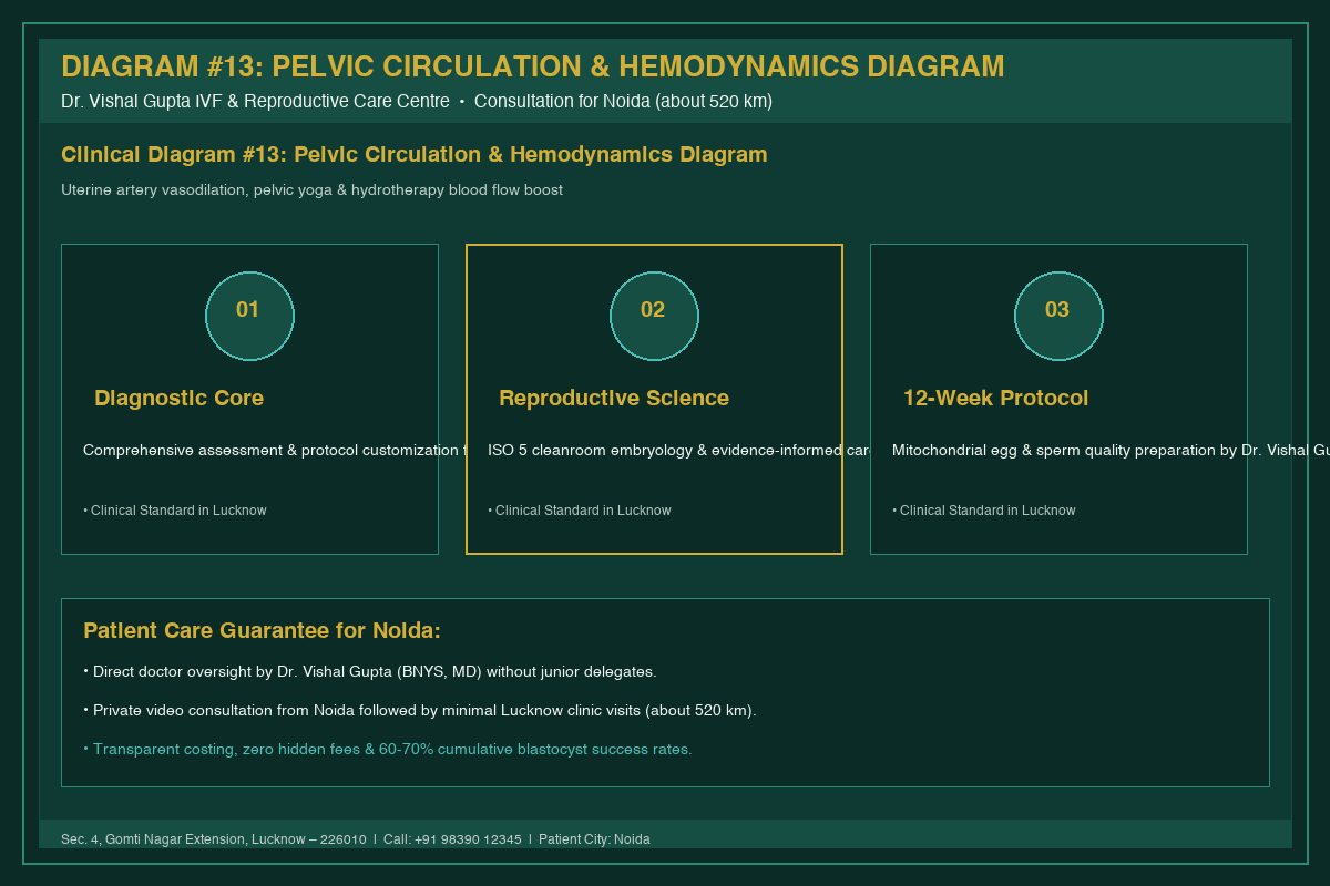 Medical Diagram #13: Pelvic Circulation & Hemodynamics Diagram at IVF Centre Lucknow for couples in Noida