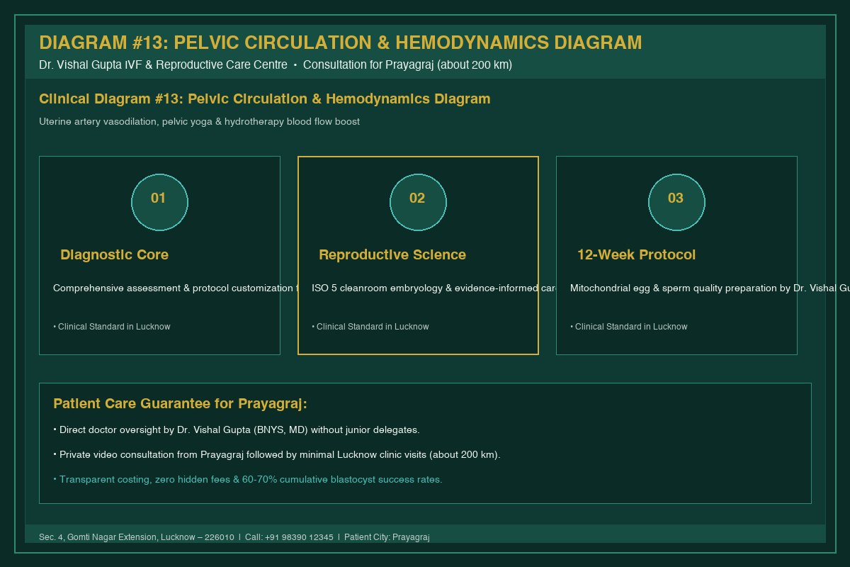 Medical Diagram #13: Pelvic Circulation & Hemodynamics Diagram at IVF Centre Lucknow for couples in Prayagraj