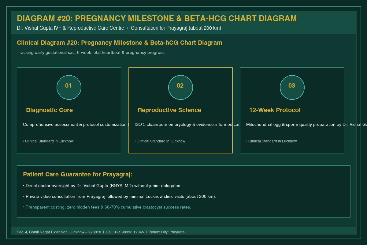 Medical Diagram #20: Pregnancy Milestone & Beta-hCG Chart Diagram at IVF Centre Lucknow for couples in Prayagraj