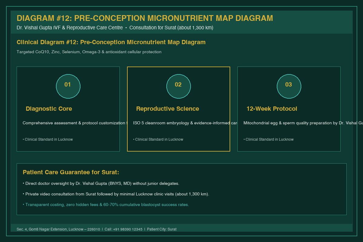 Medical Diagram #12: Pre-Conception Micronutrient Map Diagram at IVF Centre Lucknow for couples in Surat
