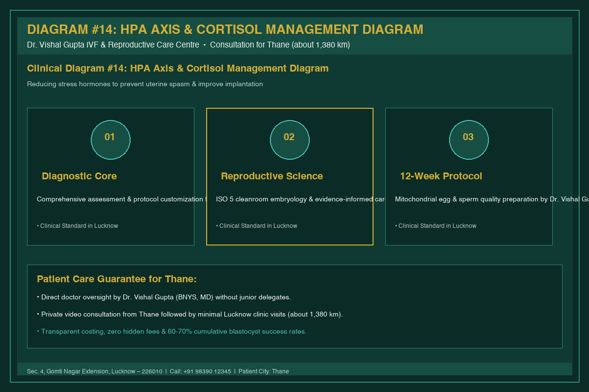 Medical Diagram #14: HPA Axis & Cortisol Management Diagram at IVF Centre Lucknow for couples in Thane