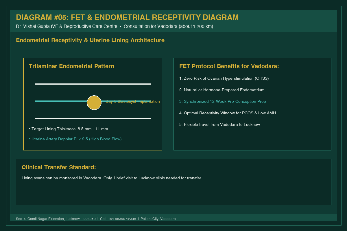 Medical Diagram #05: FET & Endometrial Receptivity Diagram at IVF Centre Lucknow for couples in Vadodara