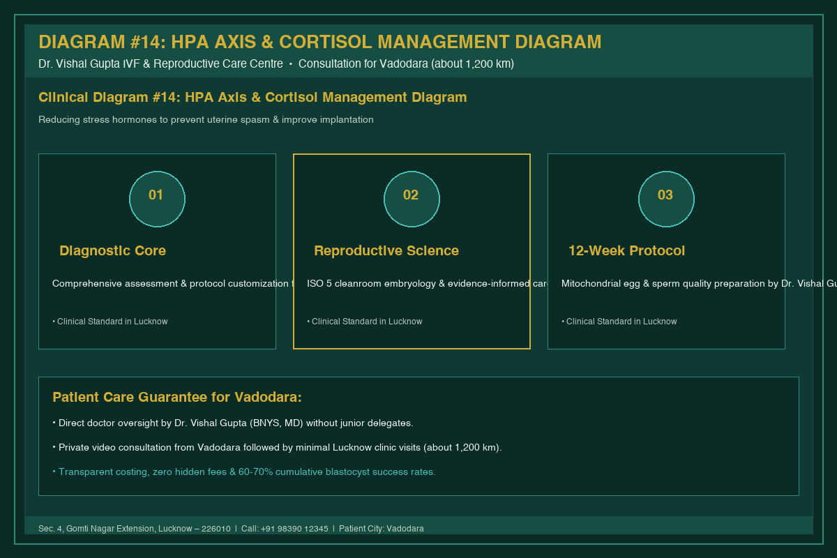 Medical Diagram #14: HPA Axis & Cortisol Management Diagram at IVF Centre Lucknow for couples in Vadodara