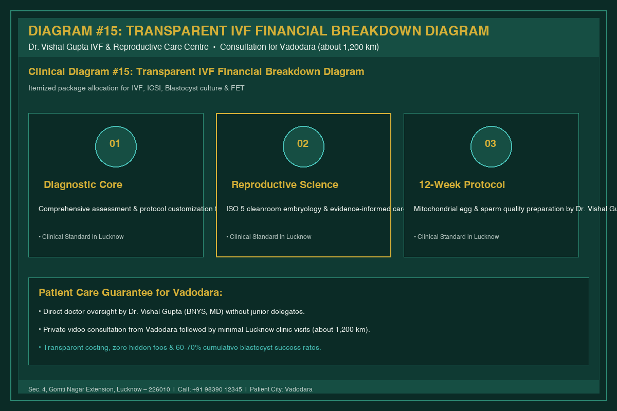 Medical Diagram #15: Transparent IVF Financial Breakdown Diagram at IVF Centre Lucknow for couples in Vadodara