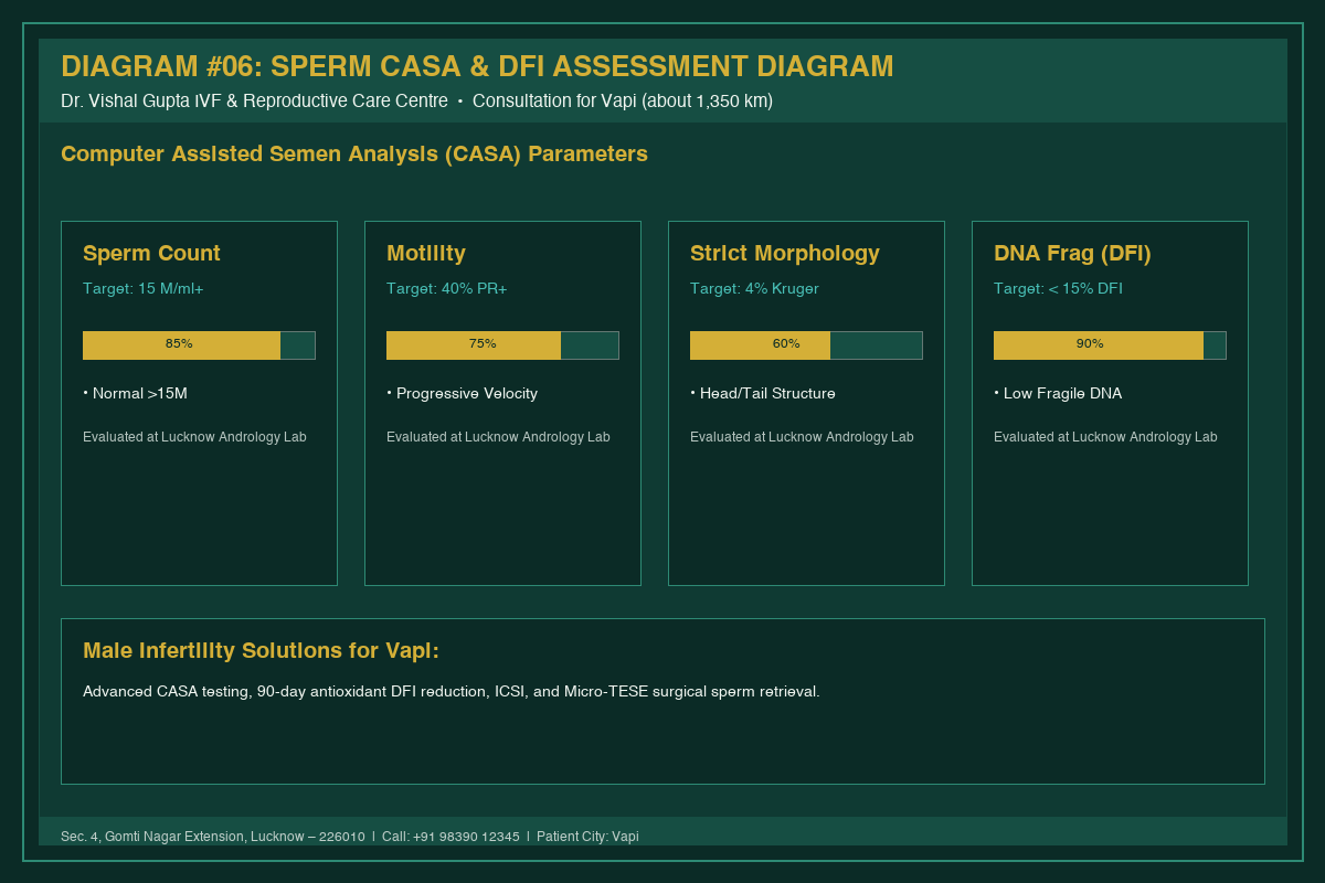 Medical Diagram #06: Sperm CASA & DFI Assessment Diagram at IVF Centre Lucknow for couples in Vapi