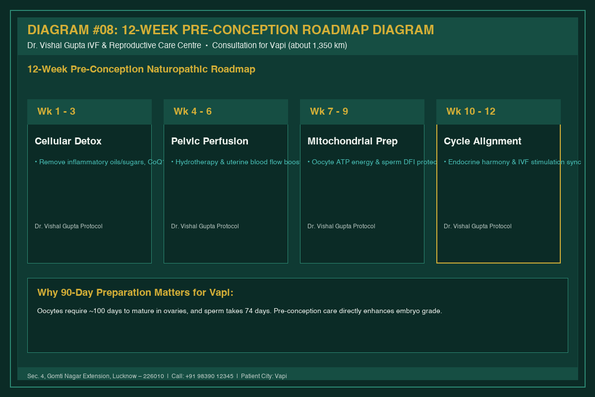 Medical Diagram #08: 12-Week Pre-Conception Roadmap Diagram at IVF Centre Lucknow for couples in Vapi