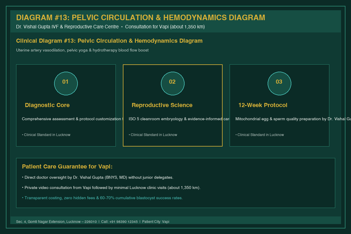 Medical Diagram #13: Pelvic Circulation & Hemodynamics Diagram at IVF Centre Lucknow for couples in Vapi